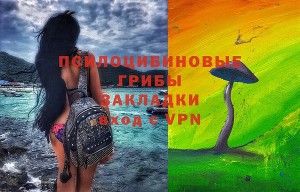 дмт Абаза
