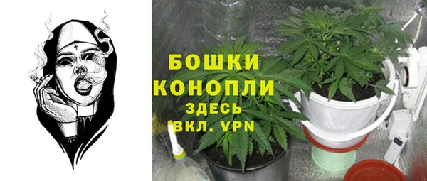 дмт Абаза